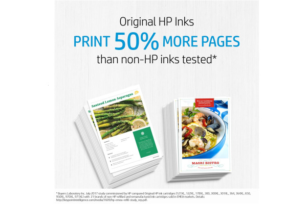 HP Advanced Photo Paper 10 Blatt 49V51A Gloss 4x12in/10x30,5cm
