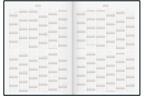 RIDOIDE 10 Jahresagenda 2027-2036 702240401 1T/1S grau DE 21x29.1cm