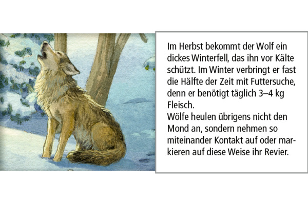 COPPENRAT Adventskalender 52x38cm 72257 Hört ihr die Tiere im Wald