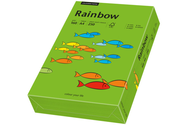 RAINBOW Papier intensivgrün/78 A4 88042681 FSC, 160g 250 Blatt