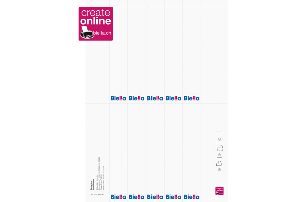 BIELLA Rückenschild Ordner 27x145mm 19099400U für 4cm Rücken 100 Stück