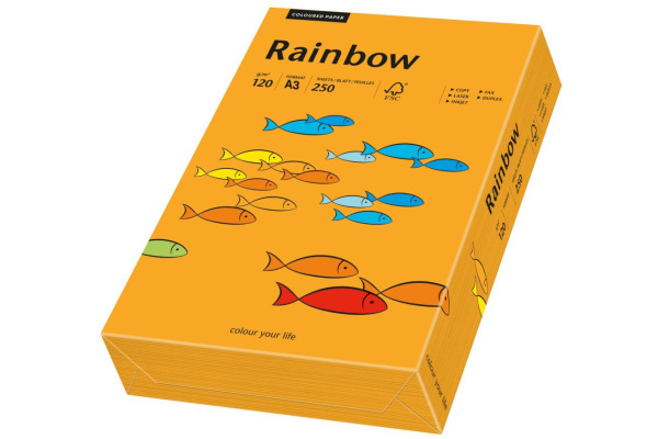 RAINBOW Papier orange/24 A3 88042437 FSC, 120g 250 Blatt