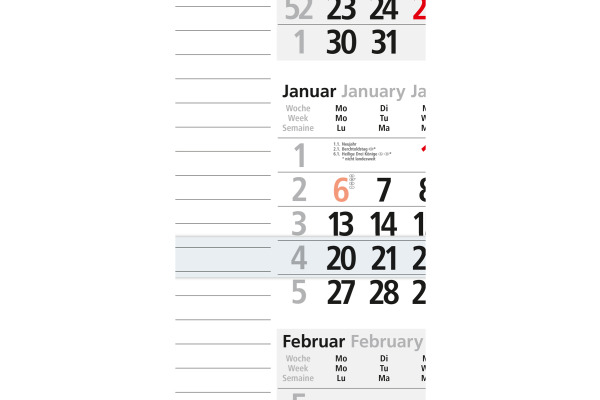 BÜHNER 3-Monatskalender 2027 M3KPNBL-R ML 30x56cm