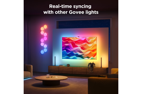 GOVEE Envisual TV Light H6098CD1 Netflix Edition, 55-65 TV