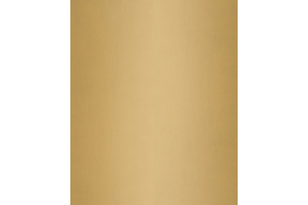 I AM CREA Seidenpapier 4073.17 50x70cm, gold