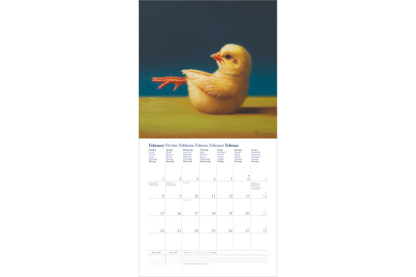 DUMONT Bildkalender 2027 261558 Yoga Chicks 30x30cm