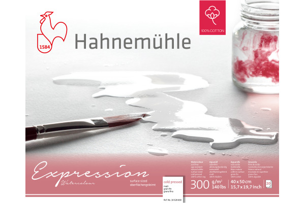HAHNEMÜHL Aquarellbl. Expression 40x50cm 10628668 weiss, 300g 20 Blatt