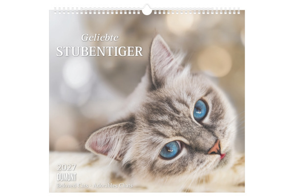 DUMONT Bildkalender 2027 261893 Stubentiger ML 38x35.5cm
