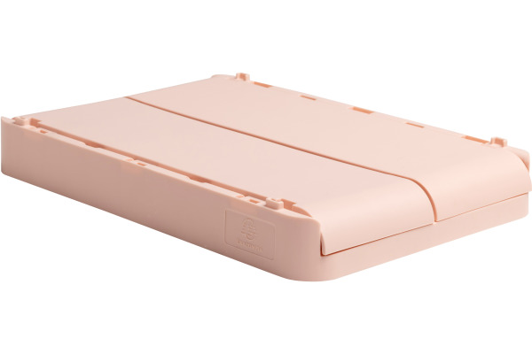 EXACOMPTA Klappbox Skandi A5+ 27131D Midi hellrosa 275x40x190mm