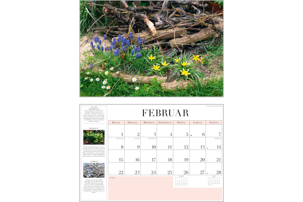 DUMONT Bildkalender 2027 261220 Garten-Kalender DE 42x29cm