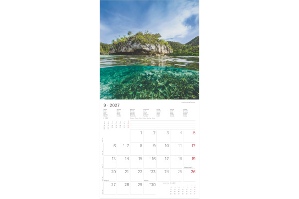 ALPHA EDI Bildkalender 2027 161055 Summer Dreams ML 30x30cm