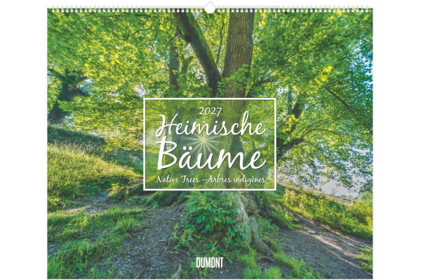 DUMONT Bildkalender 2027 261242 Bäume ML 60x50cm