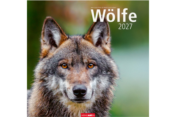 WEINGARTE Bildkalender 2027 296370027 Wölfe DE 48x46cm