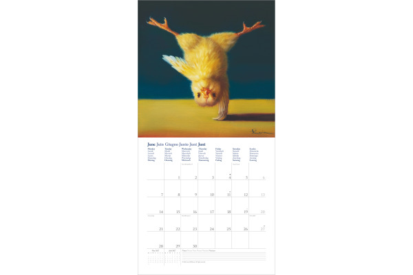 DUMONT Bildkalender 2027 261558 Yoga Chicks 30x30cm