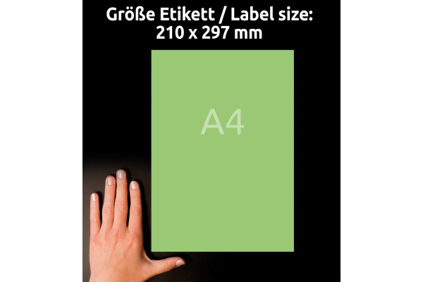 AVERY ZW. Etiketten A4 3472 grün 100 Stück