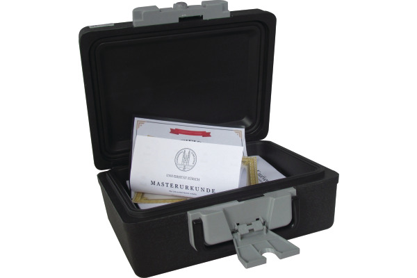 RIEFFEL Tresor SecurityCase6 A17731 feuerfest 389x300x165mm
