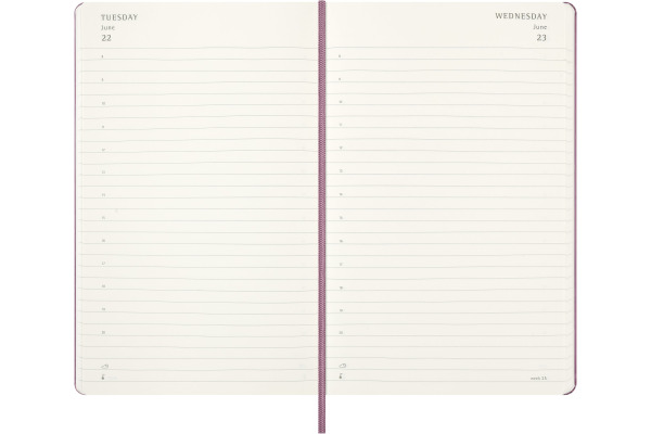 MOLESKINE Agenda Classic Large 2027 999279158 1T/1S pink HC 13x21cm