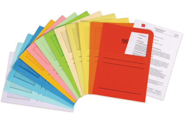ELCO Organisationsmappe Ordo A4 29488.00 classico, assortiert 100 Stück