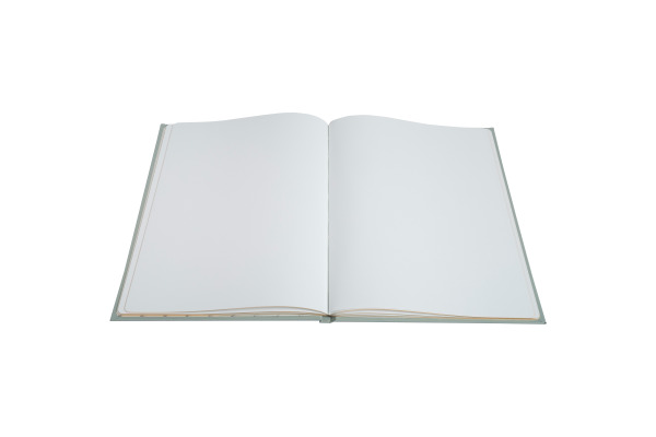 EXACOMPTA Gästebuch Ellipse 22x27cm 47982E grün 100 Seiten