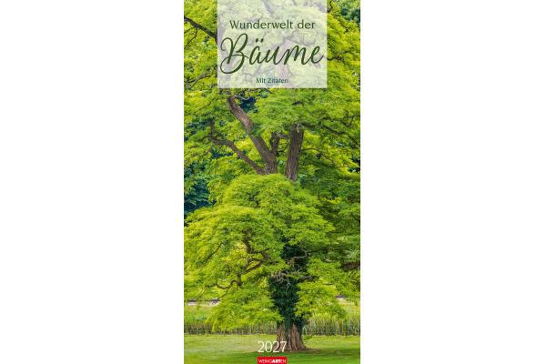 WEINGARTE Bildkalender 2027 295860027 Wunderwelt Bäume DE 33x68cm