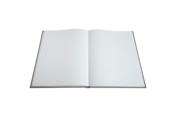 EXACOMPTA Gästebuch Ellipse 22x27cm 47984E grau 100 Seiten