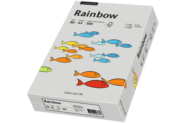 RAINBOW Papier grau/96 A4 88042805 FSC, 80g 500 Blatt