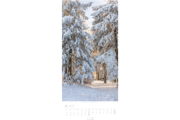 WEINGARTE Bildkalender 2027 315020027 Im Wald DE 33x68cm