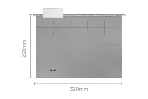 BIELLA Register-Hängemappen-Set A4 27143025U beige 32x25cm 10 Stück