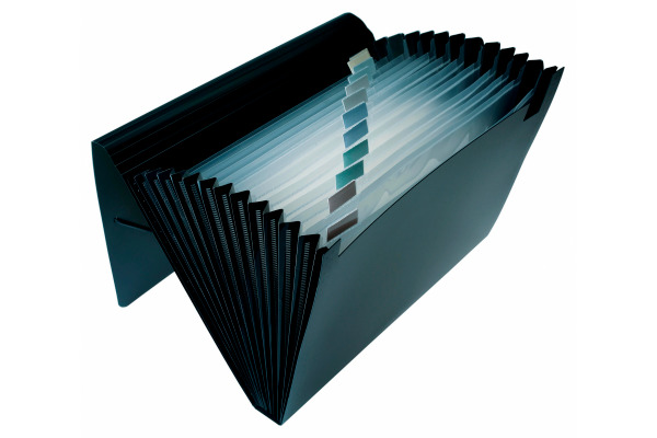 DUFCO Expanding File A4 51500.036 schwarz 12 Fächer