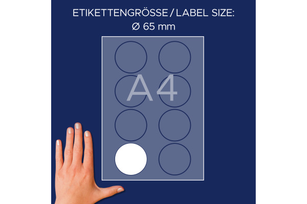 AVERY ZW. Namensetiketten 65mm L4881-20 weiss 20 Blatt/160 Stk.