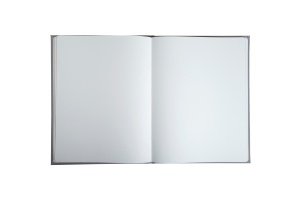 EXACOMPTA Gästebuch Ellipse 22x27cm 47984E grau 100 Seiten