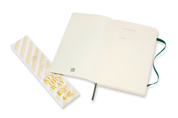 MOLESKINE Notizbuch Classic SC Large 853600042 myrtengrün, dots 240 Blatt