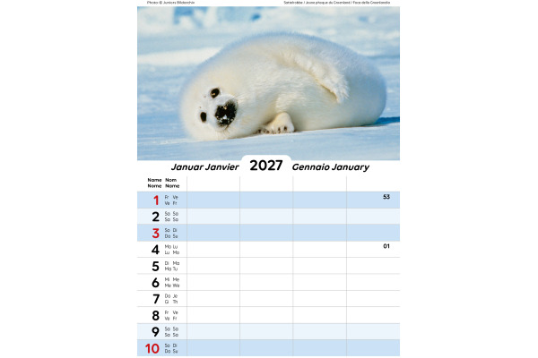 CALENDARI Familienplaner 2027 36205861 mit Tieren ML 21x27.9cm