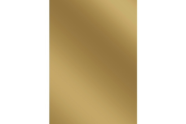 STEWO Geschenkpapier Uni Plain 526591380 70x500cm gold