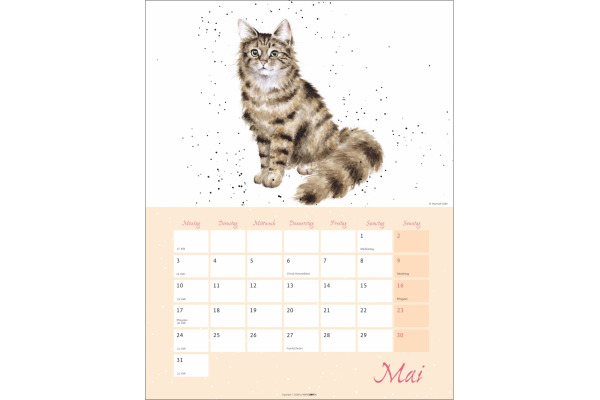 WEINGARTE Bildkalender 2027 331229227 Country Life 30x39cm