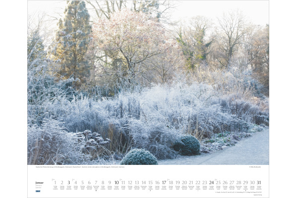 DUMONT Bildkalender 2027 261049 Schöne Gärten ML 52x42.5cm