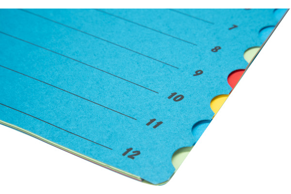 BIELLA Fächermappe A4 32841205U Karton blau 12-teilig