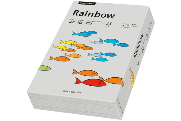 RAINBOW Papier grau/96 A3 88042814 FSC, 160g 250 Blatt