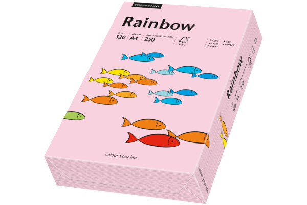 RAINBOW Papier hellrosa/54 A4 88042524 FSC, 120g 250 Blatt