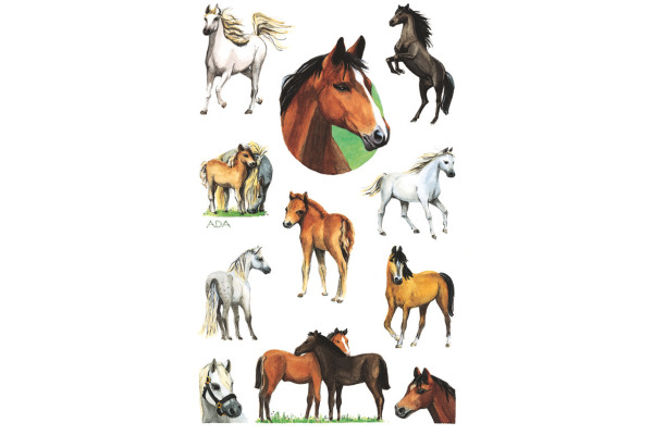 Z-DESIGN Sticker Kids 53483 Pferde 22 Stück/ 2 Blatt