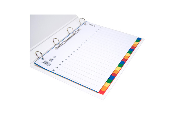 BIELLA Register PP A4+ 47902000U farbig 20-teilig