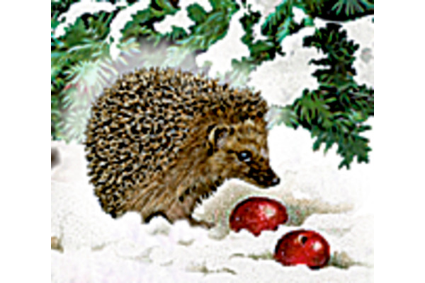 COPPENRAT Adventskalender 38x60cm 71890 Eisenbahn Tanne