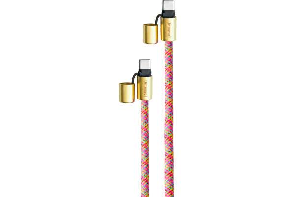 INTENSO Phone Lanyard Charg.Data Cable 7991005 2x USB-C, up to 1.65m neon mix