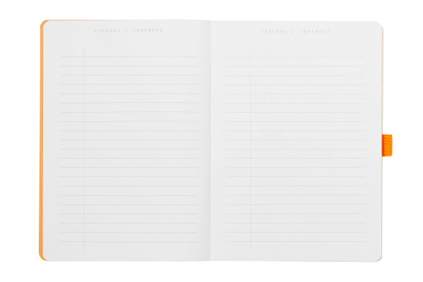 RHODIA Notizbuch Goalbook SC A5 117574C anisgrün, dots 120 Blatt