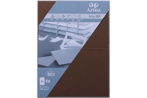ARTOZ Karten 1001 E6 107372266 220g, braun 5 Blatt