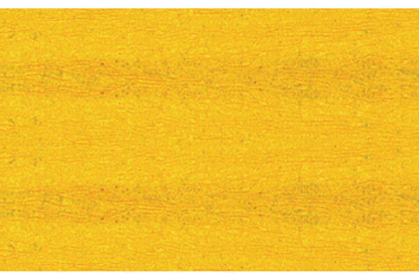 I AM CREA Krepppapier 4071.16 50x250mm, gelb