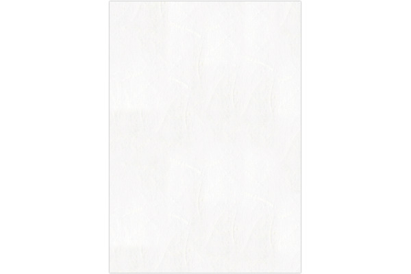 URSUS Strohseide Digital A4 54204600 25g, 10 Stück weiss
