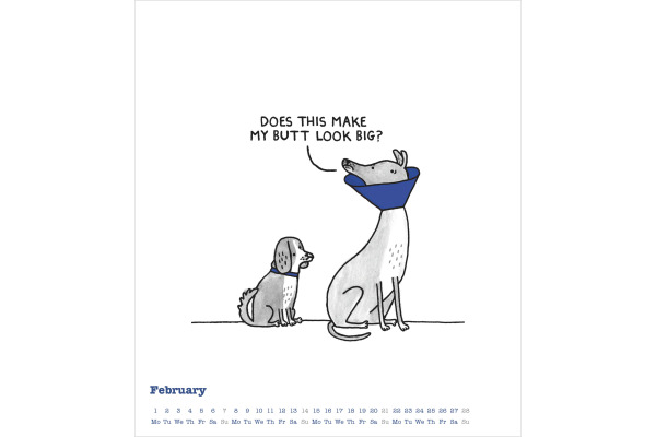 ALPHA EDI Bildkalender 2027 161399 Cats Life & Dogs Life 30x30cm