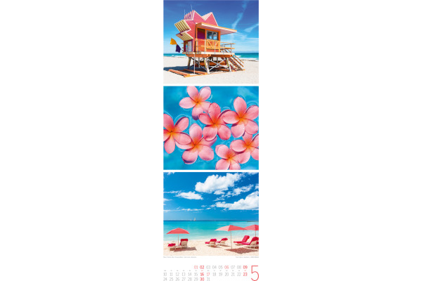 ACKERMANN Bildkalender 2027 3730 BeachTime 24x66cm