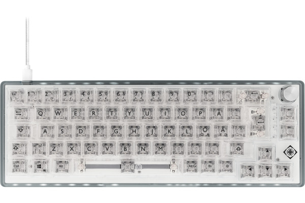 DELTACO TKL Gaming Keyboard mech GAM160TCH transparent RGB CH-Layout